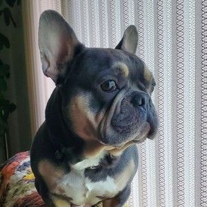 Meet your Posher, Tami